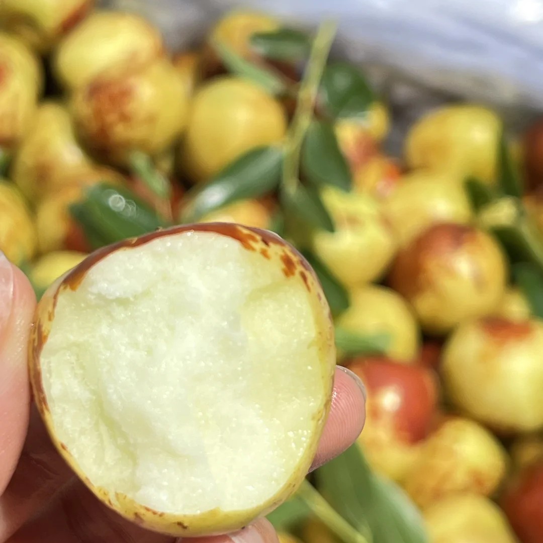 超甜冬枣 一盒250克左右