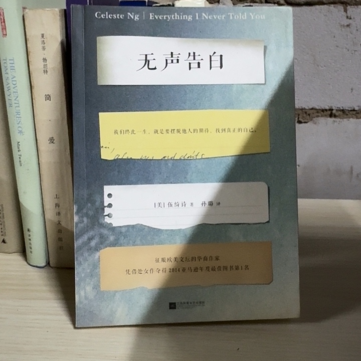 无声告白正版二手