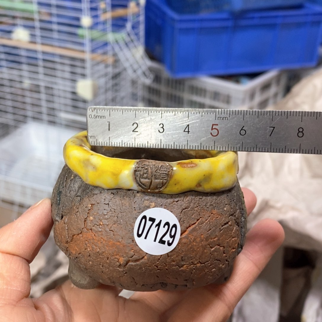 花盆拍3送一个小礼物