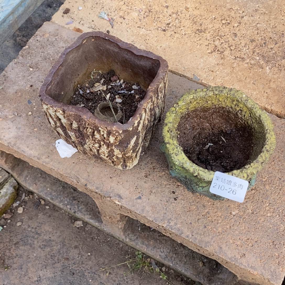 26号两个多肉盆两个组合