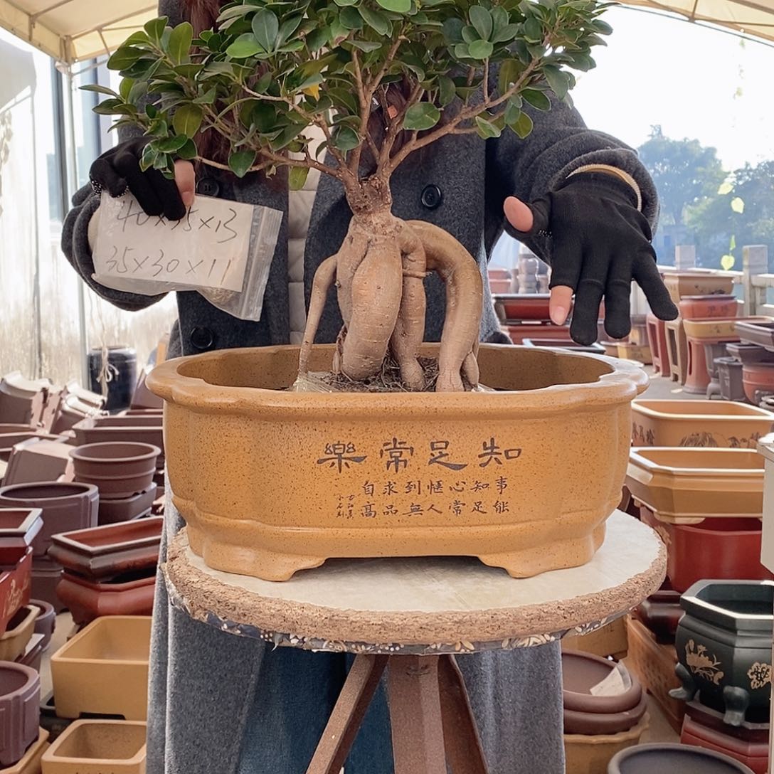 花盆紫砂紫砂花盆