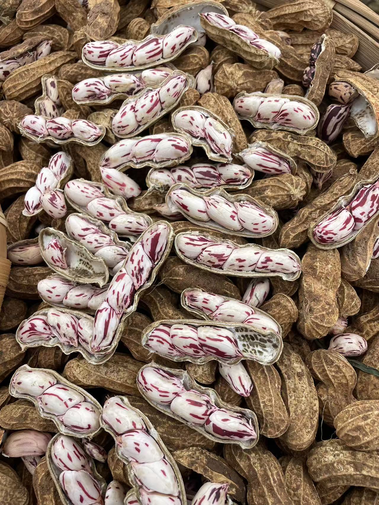 新鲜七彩花生  带泥带壳湿花生0.5/1/2/3/5斤带泥 会有个别次果