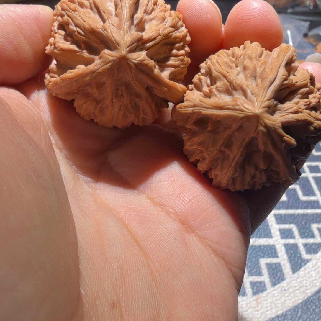 麟***文玩核桃把件御龙