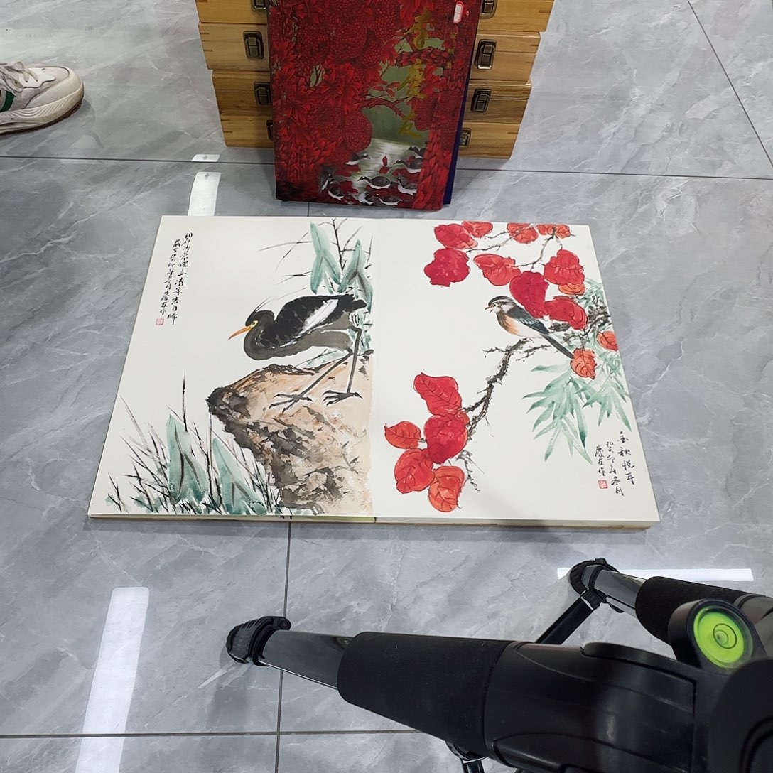 国画红皮书指出该公司