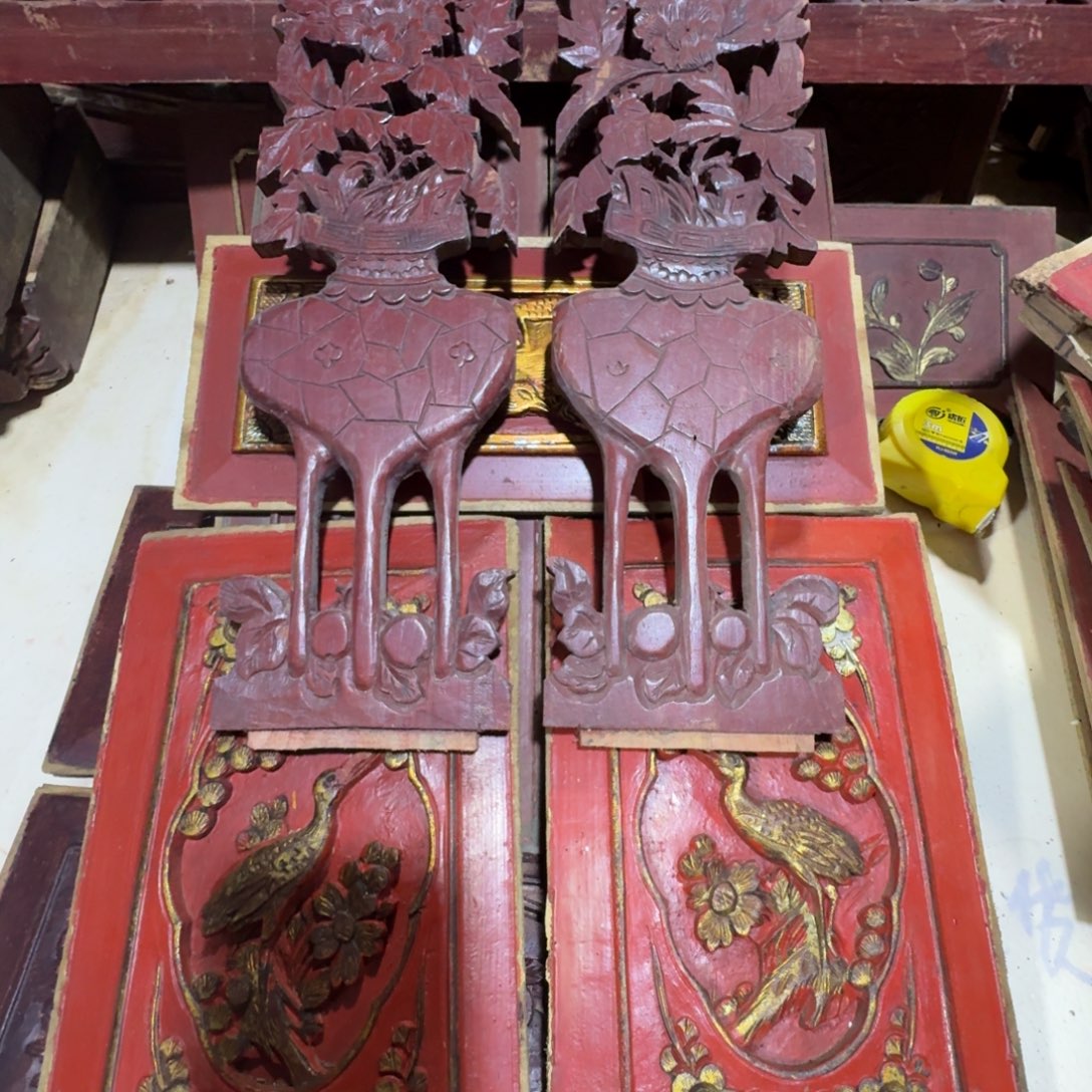 收***哥香榧木是的……是个女明星