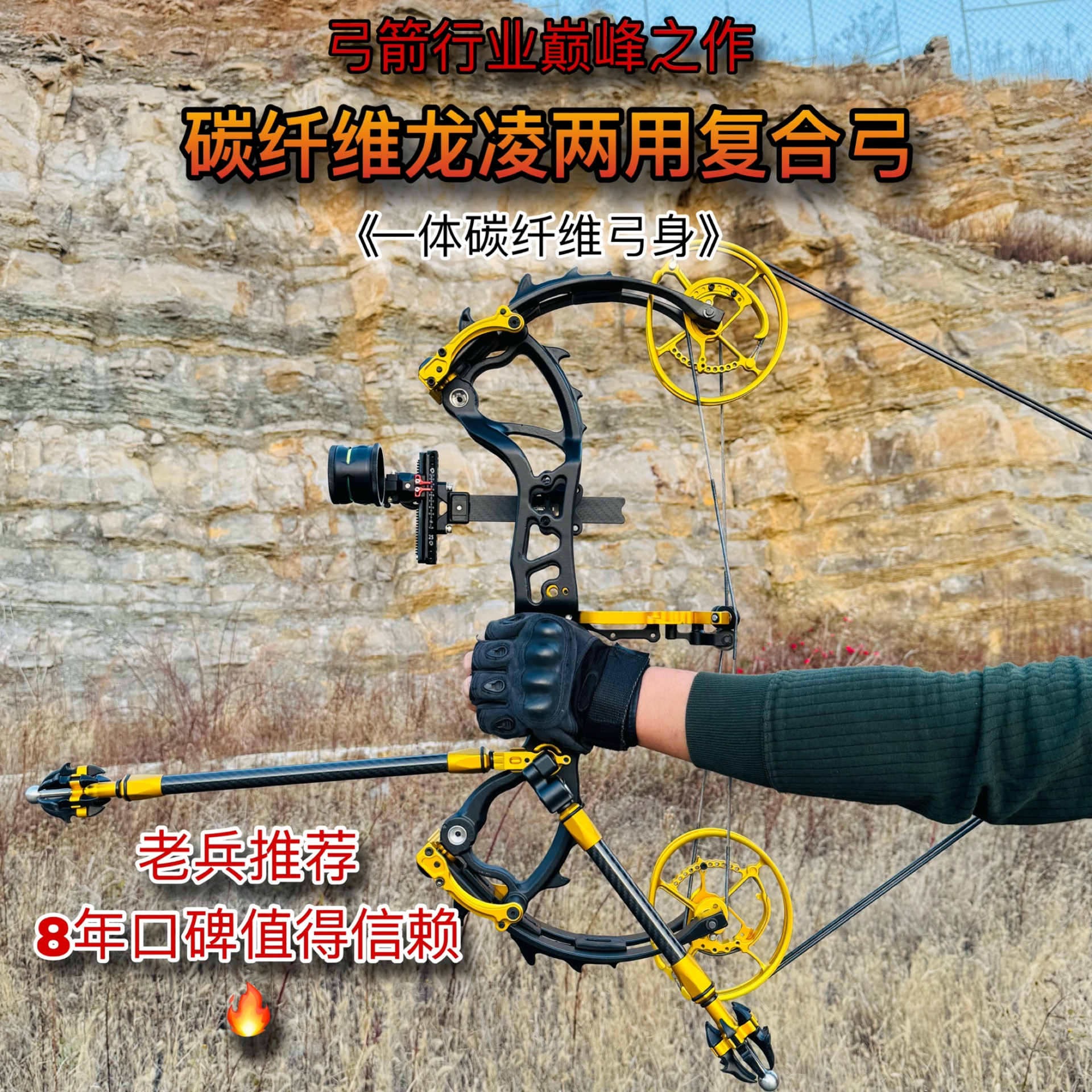 碳纤维龙凌两用弓裸弓只有2.9斤合法体育运动器材