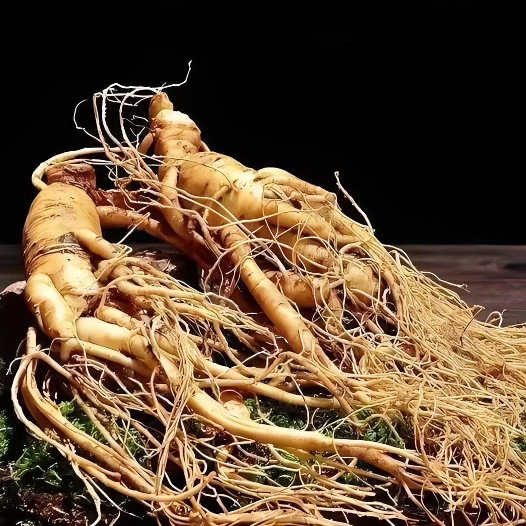 长白山自家参地鲜人参 一斤实惠装 单支15-20g