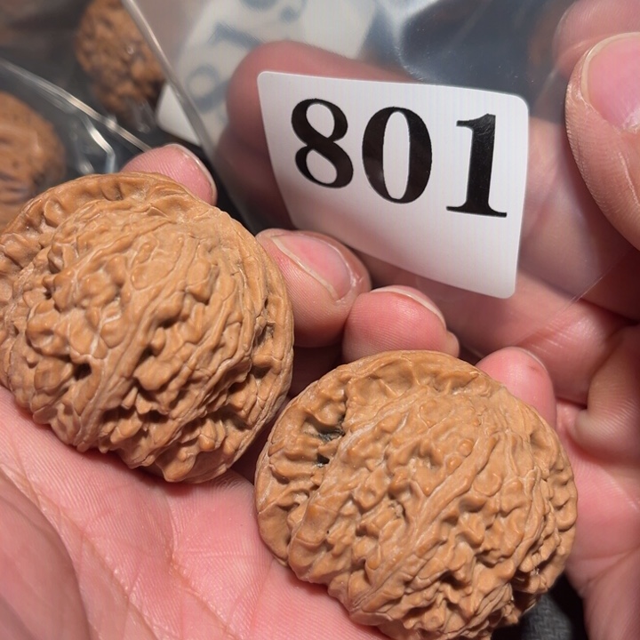 核桃44全品白狮子