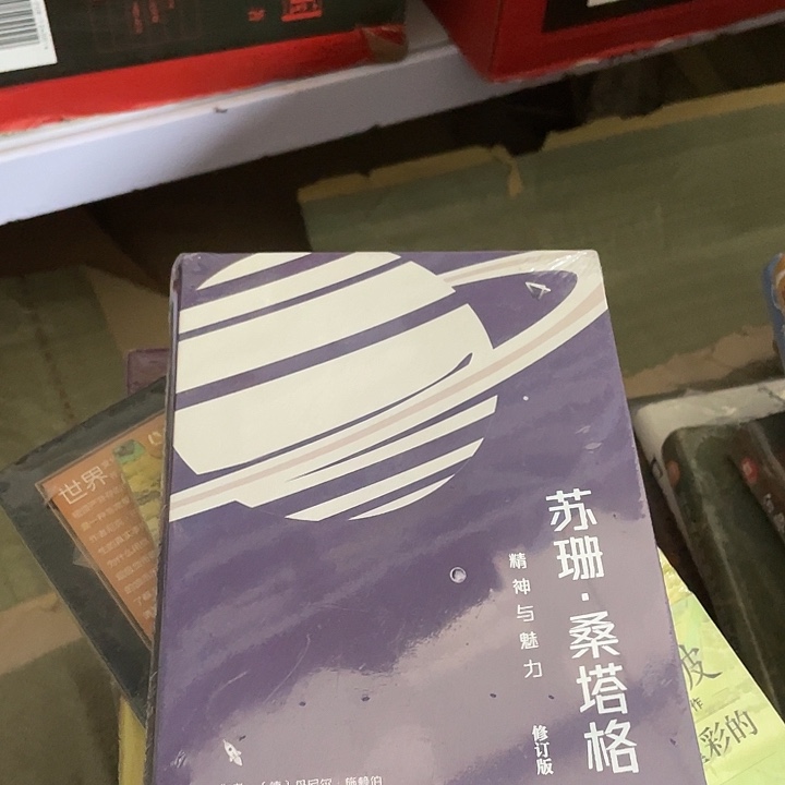 苏珊桑塔格：微瑕单