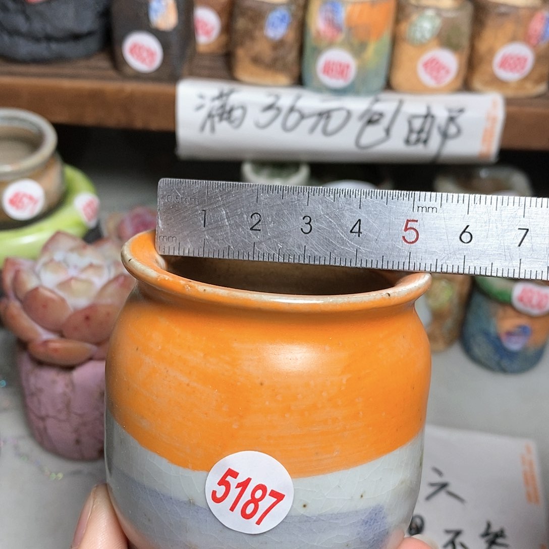 红陶拍5送一个小