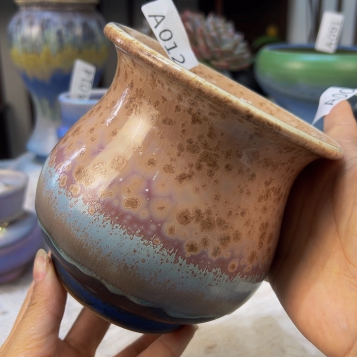 景德镇瓷器研究协会