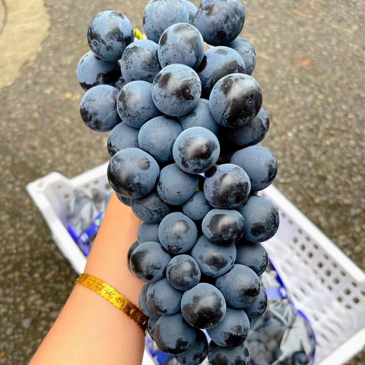 本地辽峰葡萄约2斤/份宁夏回族自治区