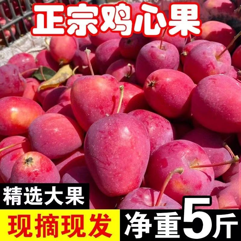 新货[中大果]东北特产鸡心果酸甜可口爆汁嘎嘎甜1斤/3斤/5斤