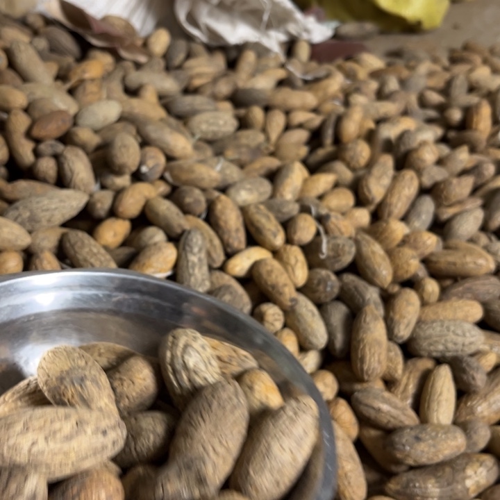 千眼菩提吊坠千眼菩提老的小果 20 个。38