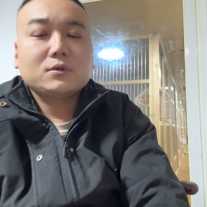 木繁殖木笼巢箱子