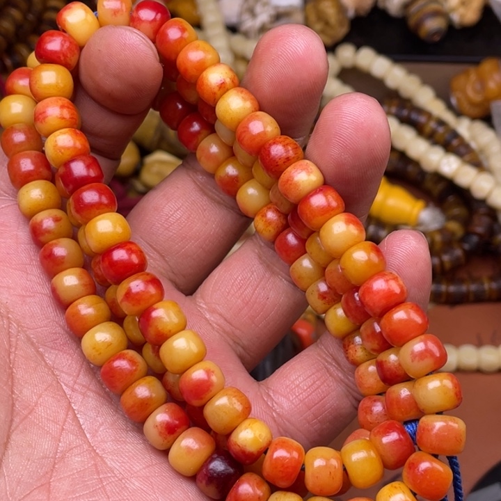 驼骨其他人工养殖