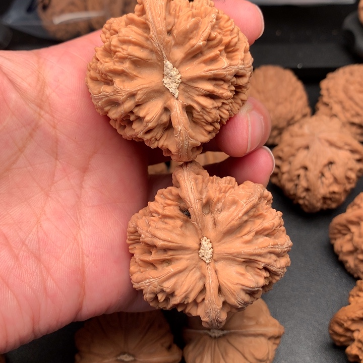 小***学文玩核桃吊坠狮子头