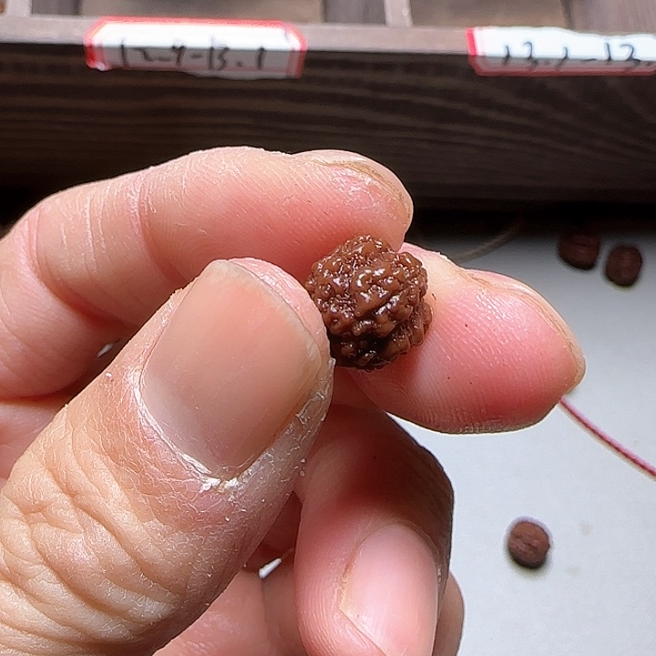 金刚菩提吊坠薇*福利