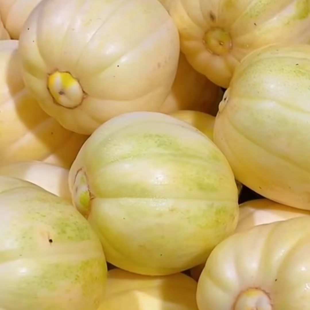 本地香甜瓜6-9个g顺丰包邮【阿班果业】新鲜黑龙江省