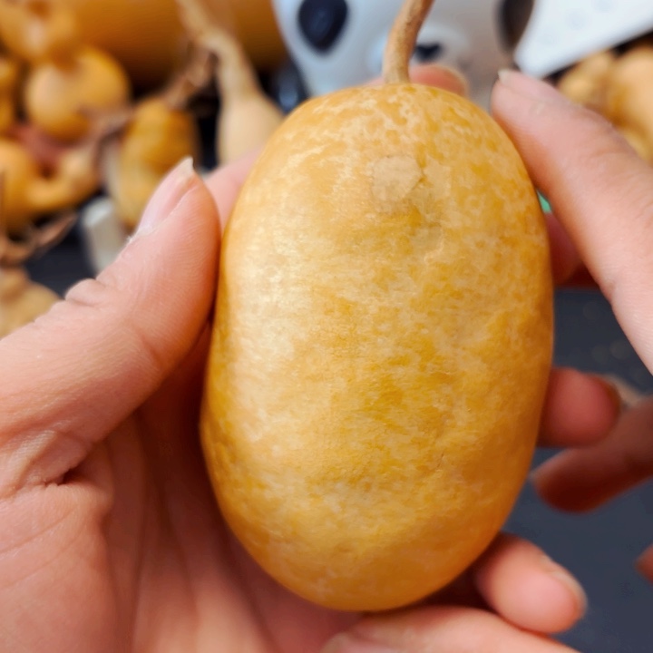 布*哥888888888888888888