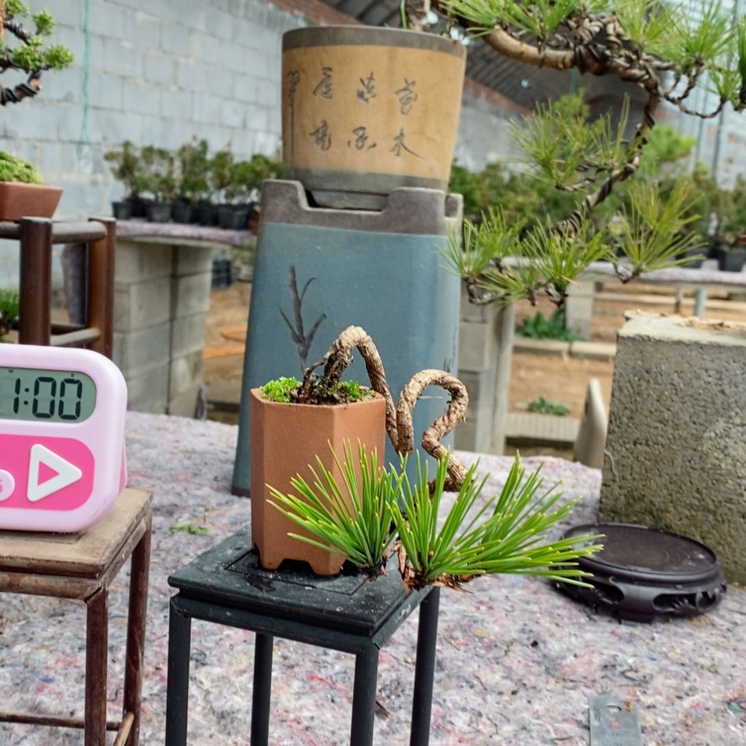 手工艺品琉璃国*