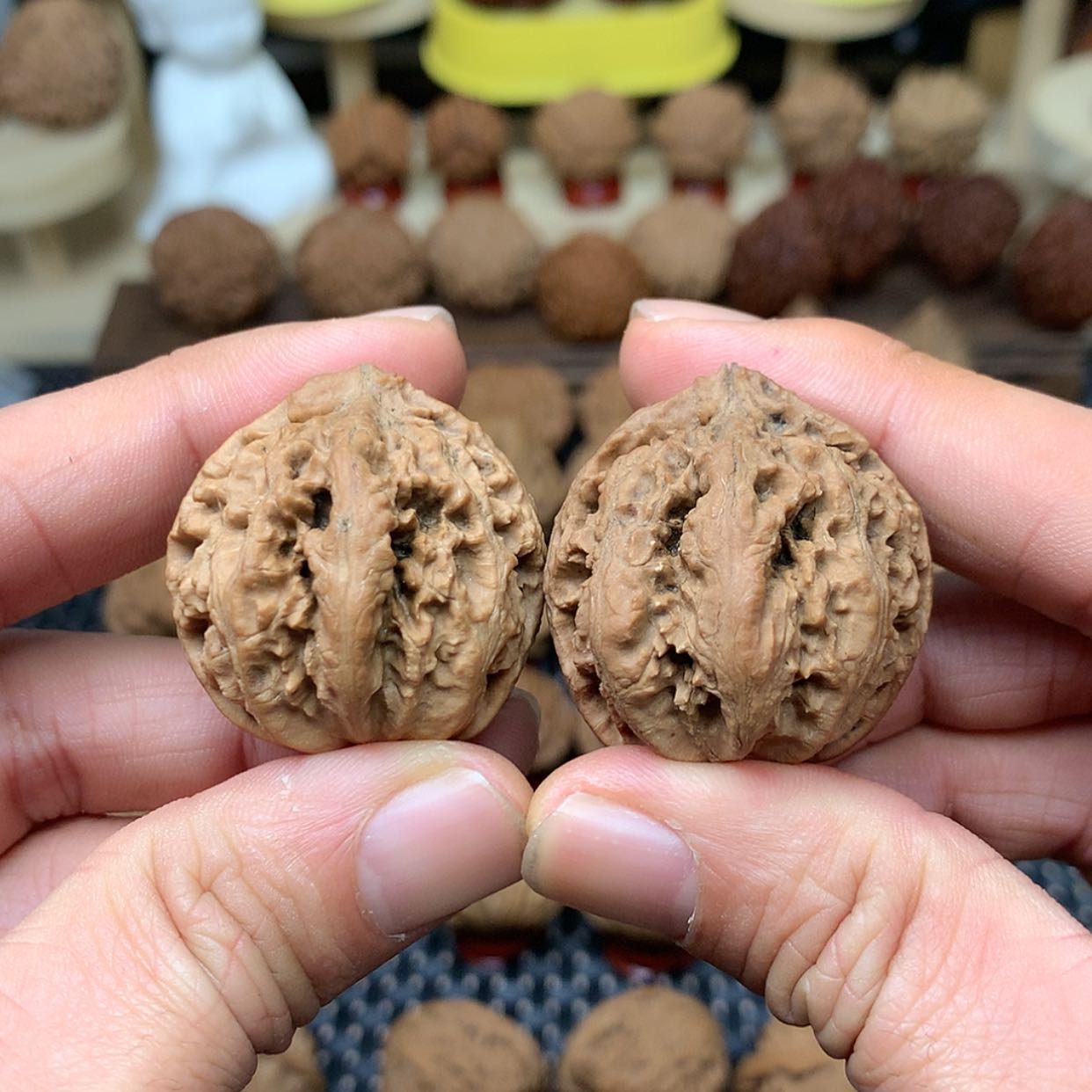 【闪购商品】文玩核桃把件全品吉林霸王丸秋子35➕