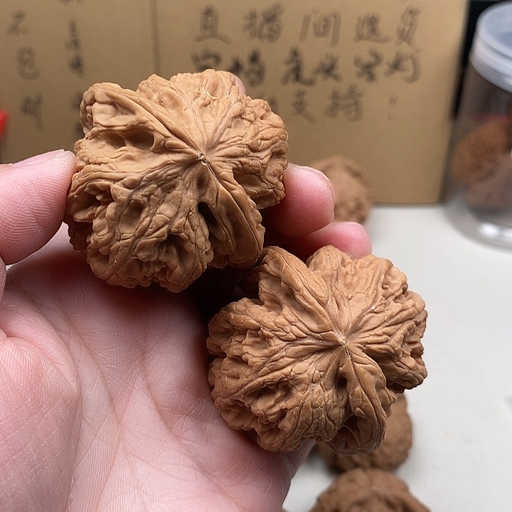 纵***海木质类19.19.19.19.19