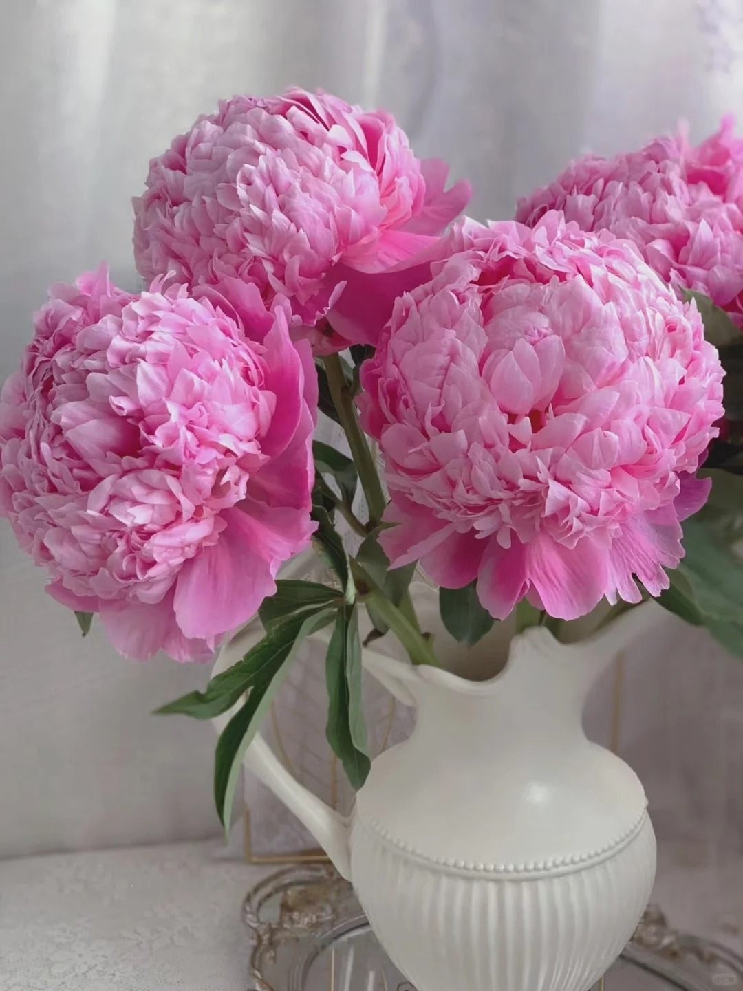 艾莉芍药鲜花5支--收到花第一时间醒花哟