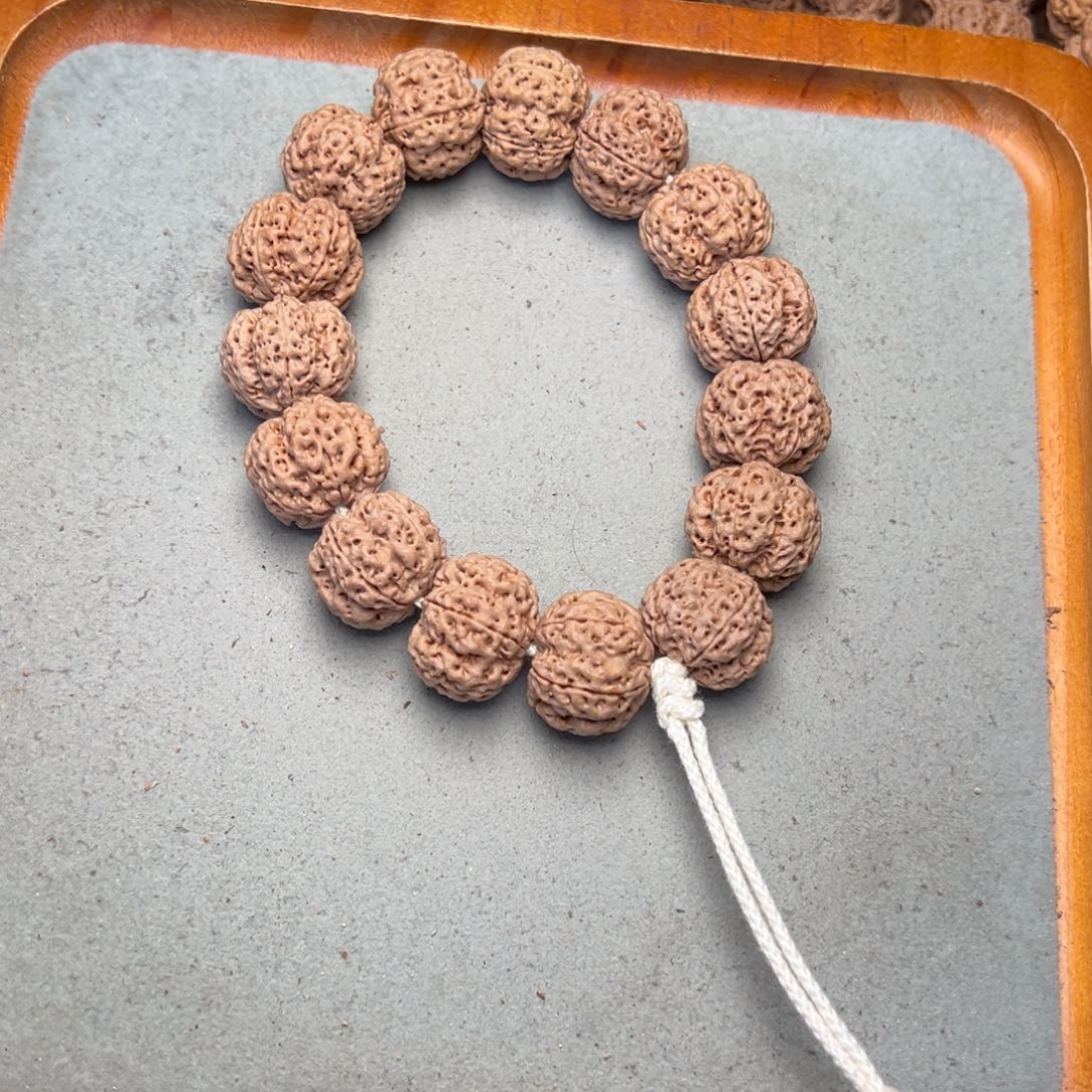 菩提14号金刚菩提满肉梅花21