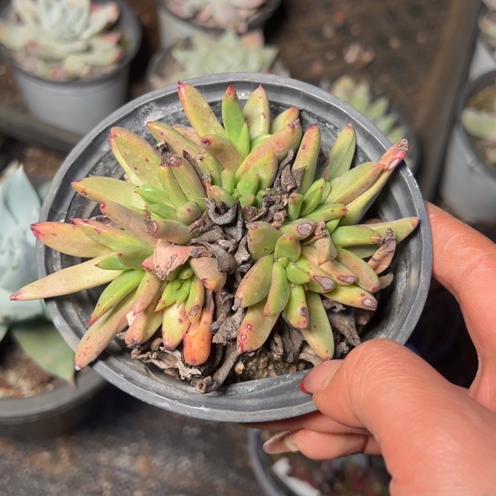 1312哈哈哈哈哈哈哈哈