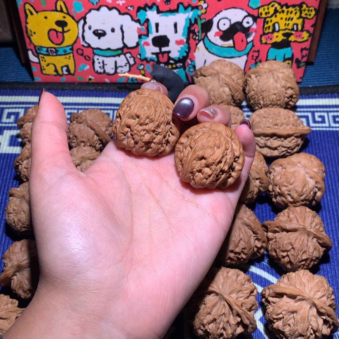 36白狮子712 1111111