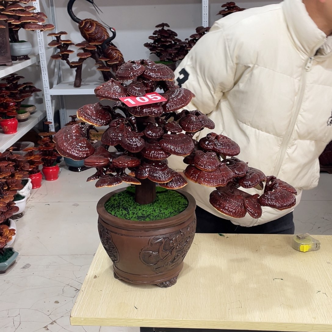 无花朵5555555555555