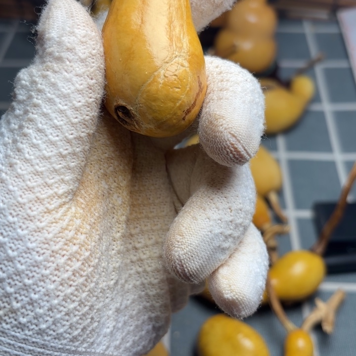 ～****伤6666666666666666