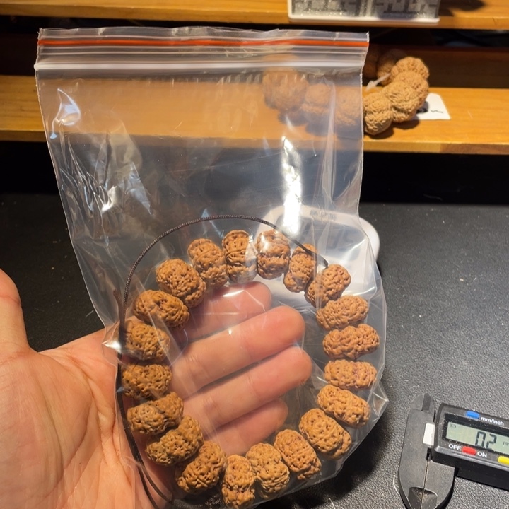 雪***峰金刚菩提手串这个