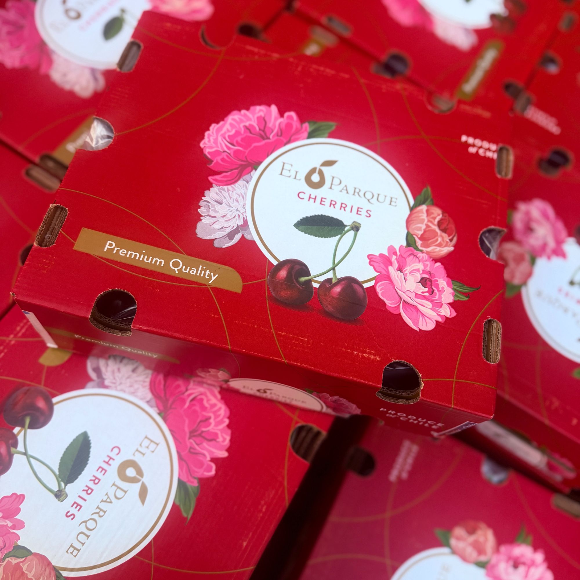 海运 4JD  智利进口桑提娜车厘子 5斤装 内附果径卡×