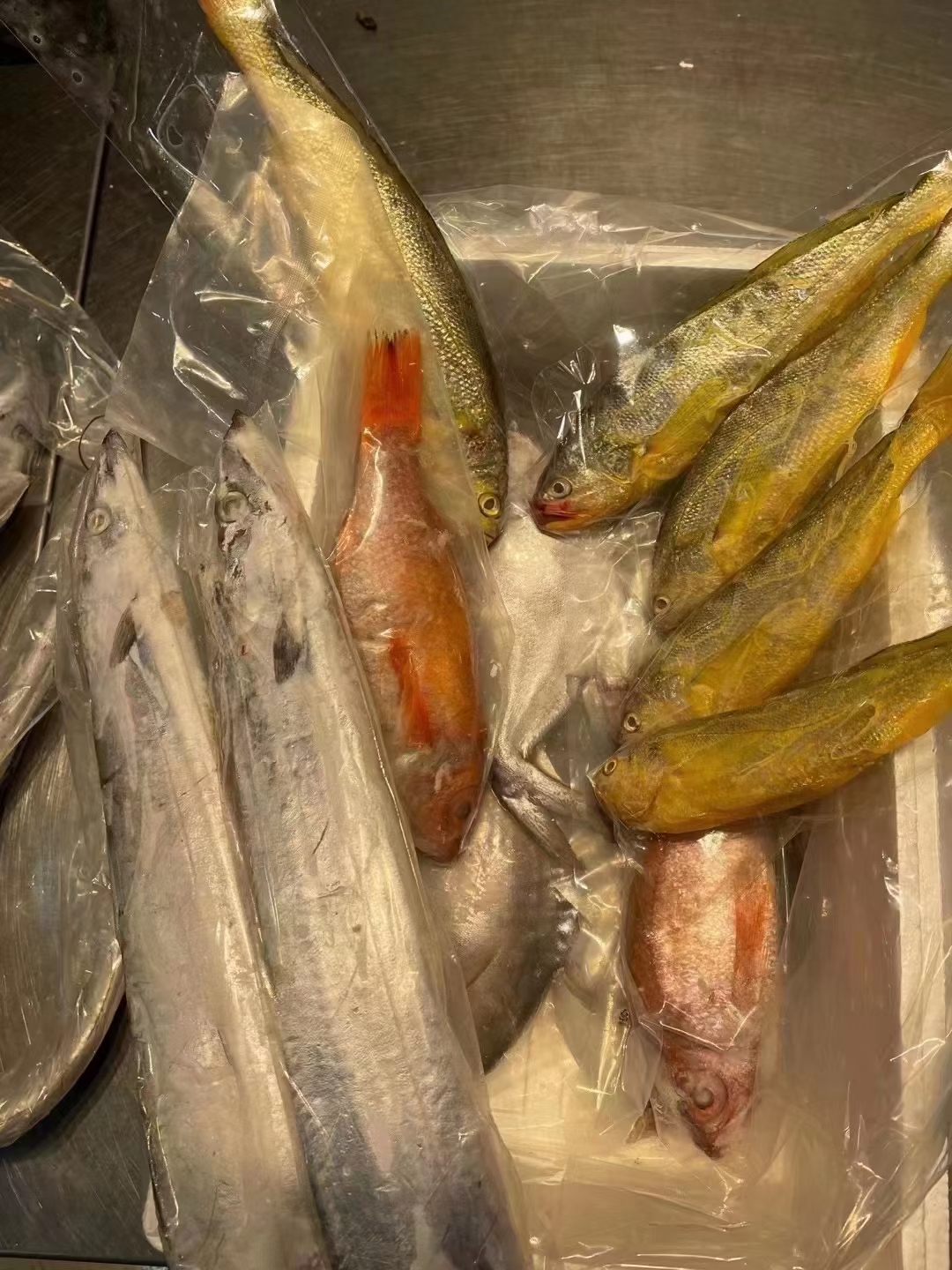 （直播间杂鱼链接）舟山野生本地海鲜各类海产品直播间现拍链接