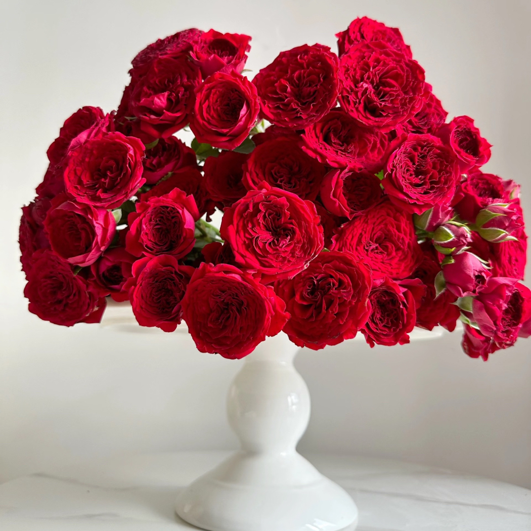 【云梦花铺】多头玫瑰锦瑟-云南基地直发-一单普通快递两单发顺丰