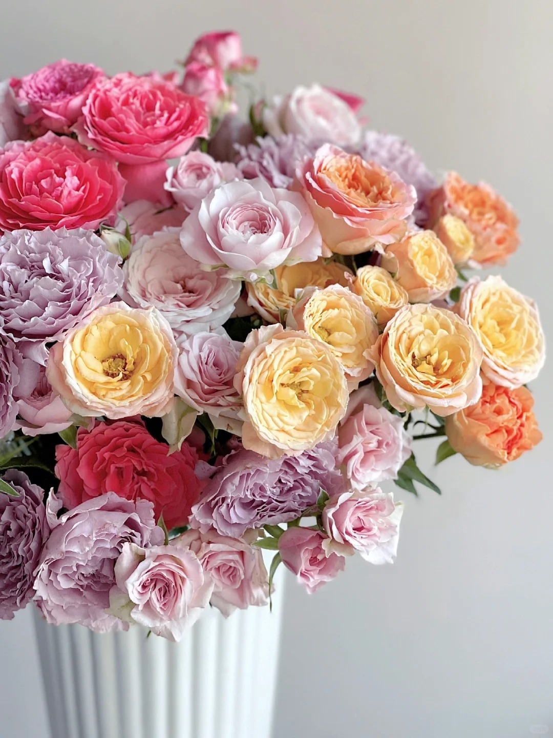 【半岛花铺】方德混色多头玫瑰 任意两单升级顺丰冷链包邮鲜切花