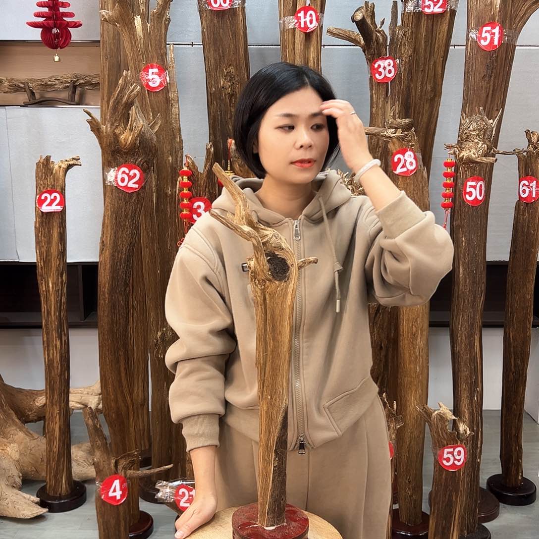 沉香摆件沉香摆件