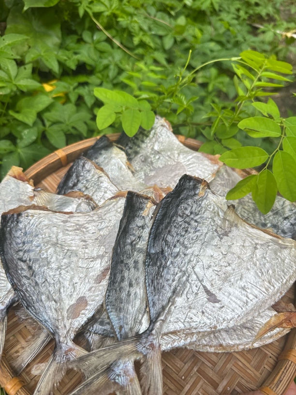 台山广海水晶鲳刀鱼干