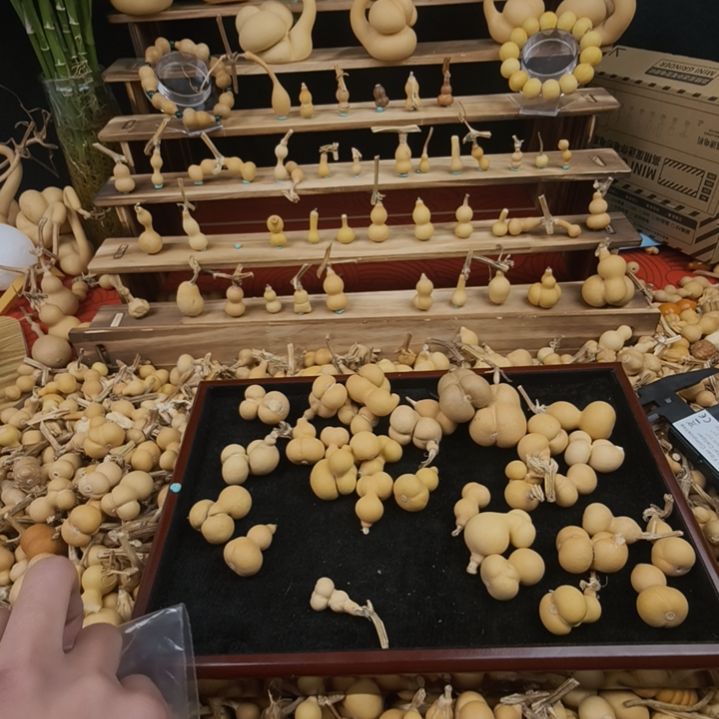 大叶紫檀（黑酸枝木类）