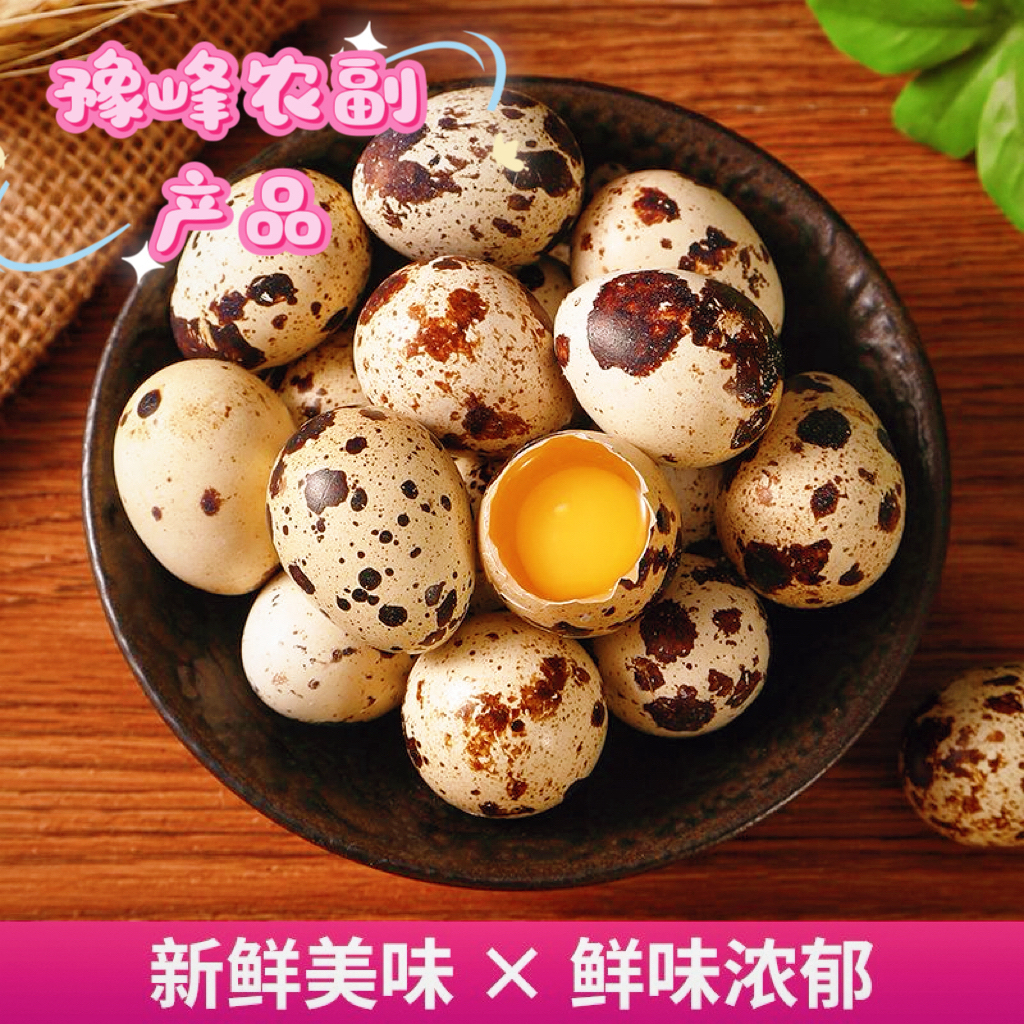农家散养新鲜生鹌鹑蛋孕妇宝宝辅食营养好选择