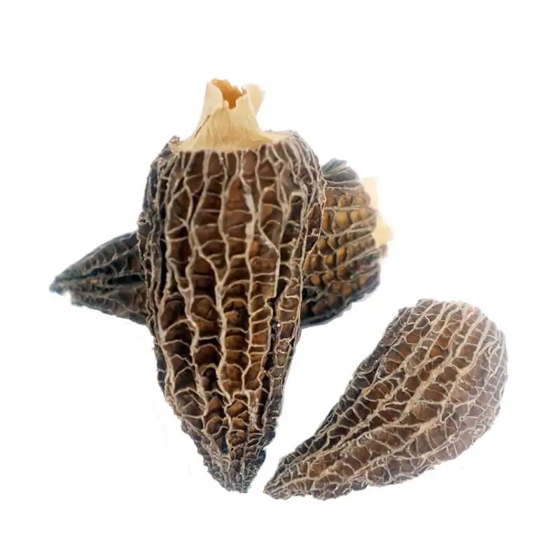 【土野特产山货】羊肚菌