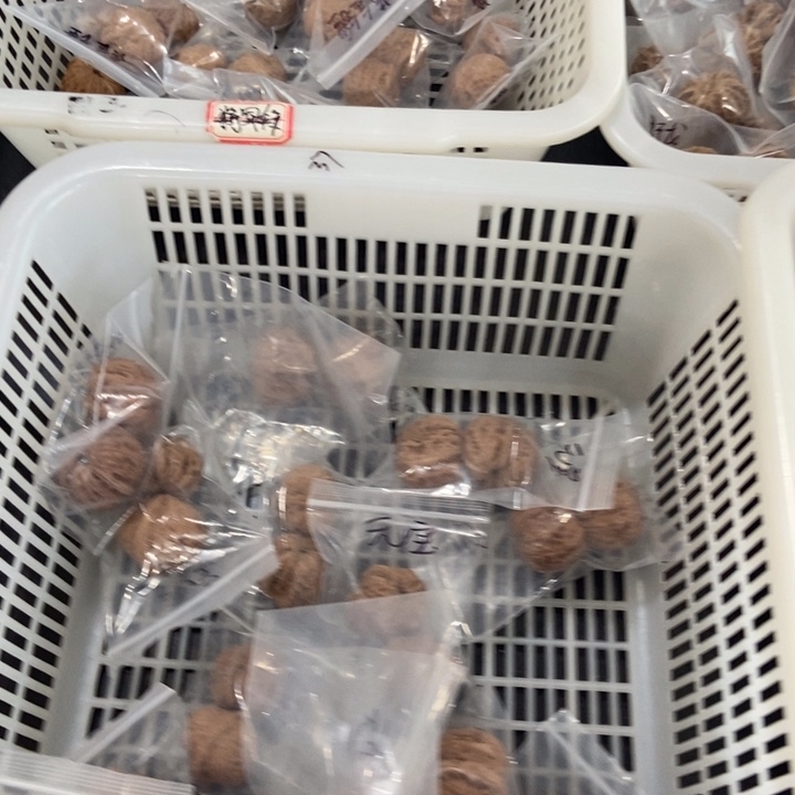 吊坠文玩核桃元宝瑕疵