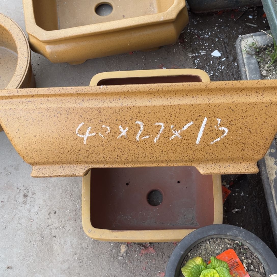 紫砂花盆盆景艺术