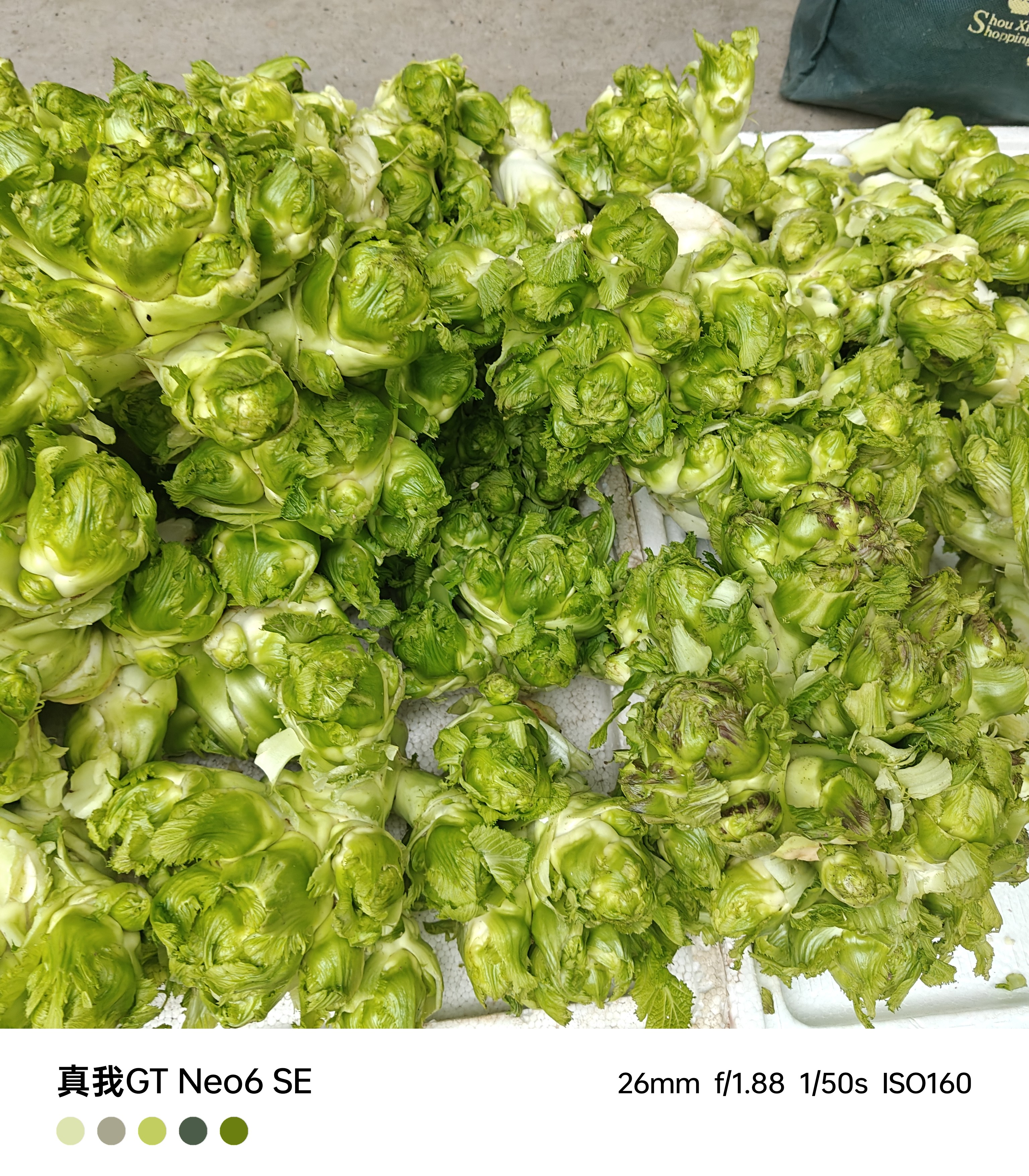 四川农家新鲜嫩儿菜娃娃菜应季蔬菜