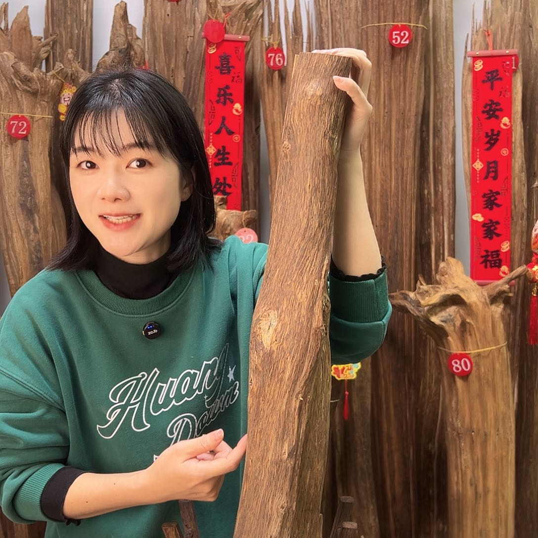 沉香摆件沉香原料摆件工艺品