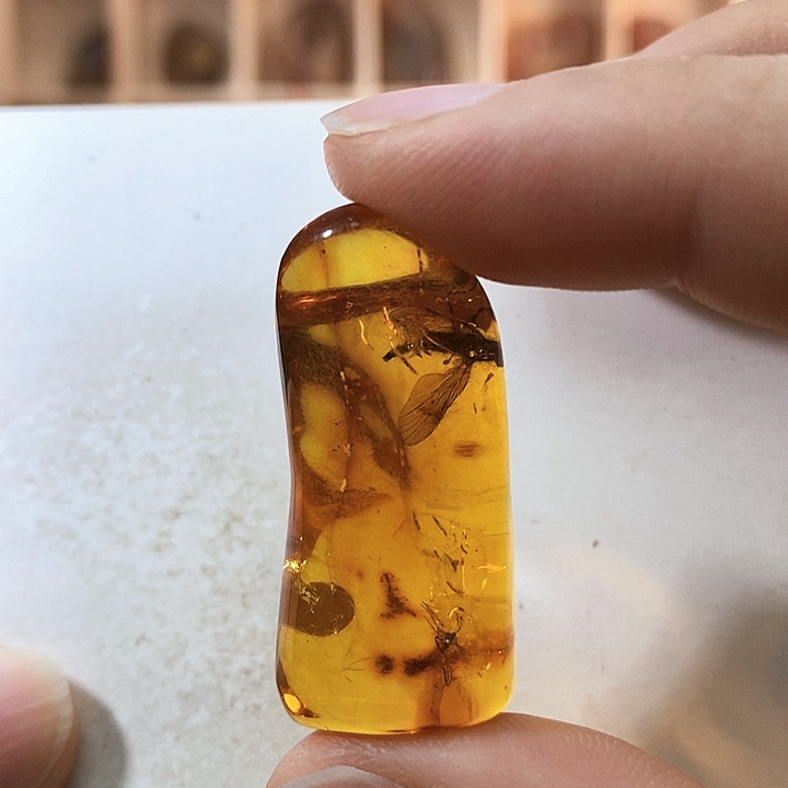定制琥珀琥珀虫珀蜂