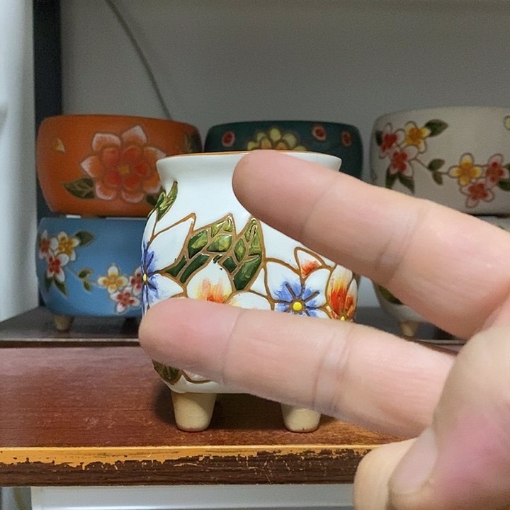韩式多肉植物花盆