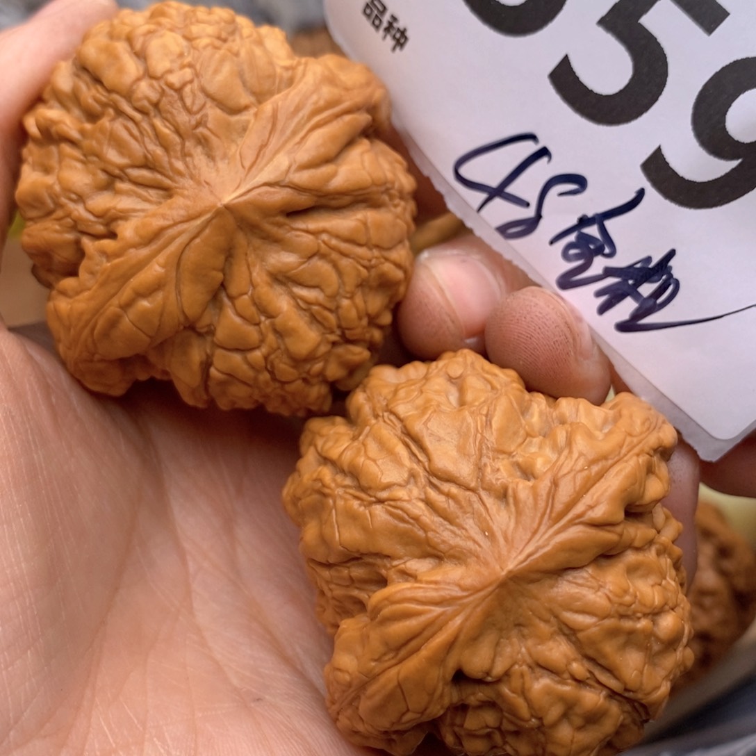 文玩核桃吊坠559号48龙鼎全